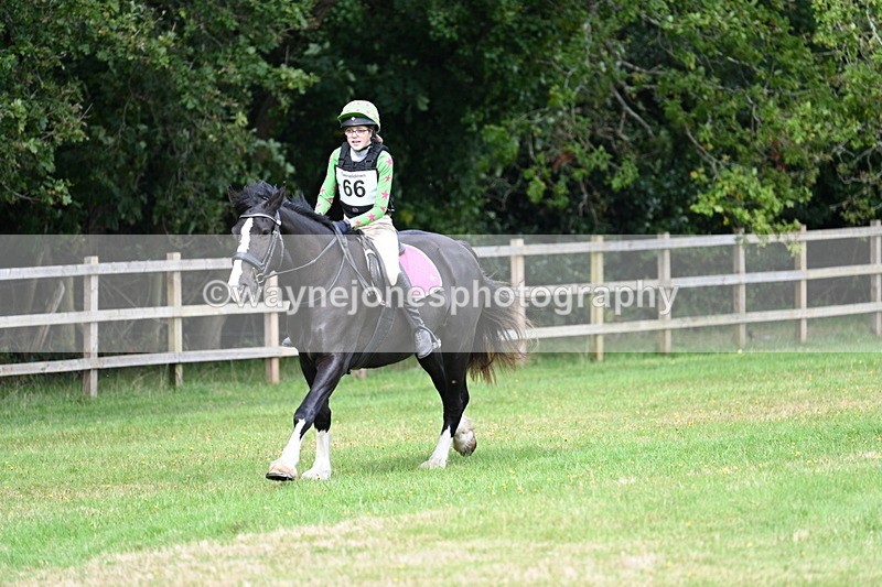 WJ7_8903 - 60cm Time 12:31 to 12:50