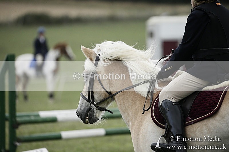 BVR090918 412 - BVRC Dressage and Show Jumping 09/09/18