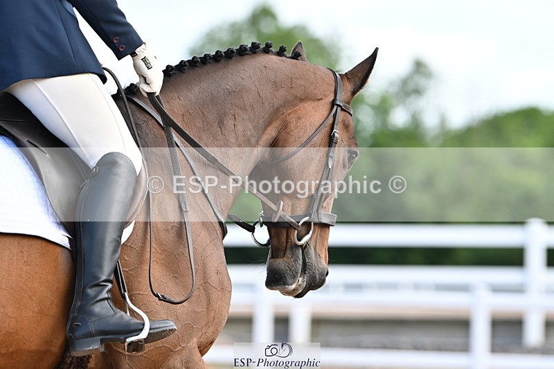 240622A-100101-07475 - Cls 2A+2B+C Intro B RoR