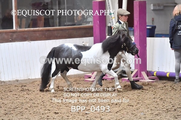 BPP_0493 - RING 1
