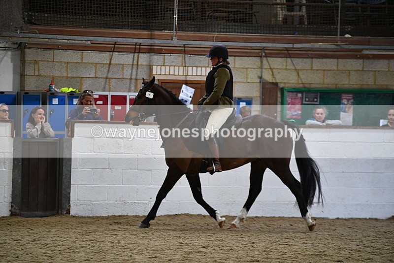WJ5_7941 - Class 13 Ridden Part Breed