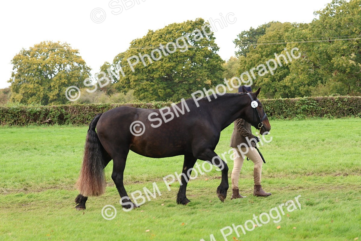 SBM_40707 - S25 -  Veteran In Hand
