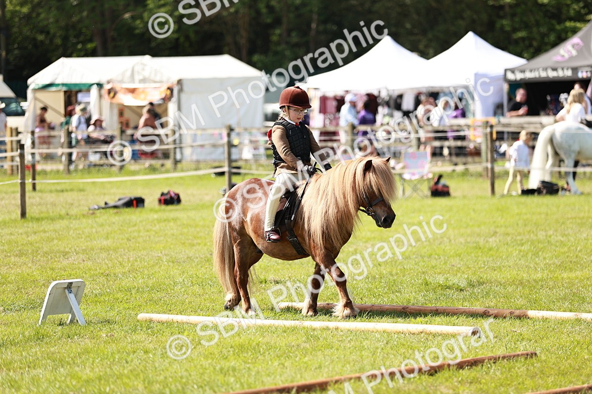 SBM_12760 - Class 106-107 - BSPS LIHS Working Sports Pony