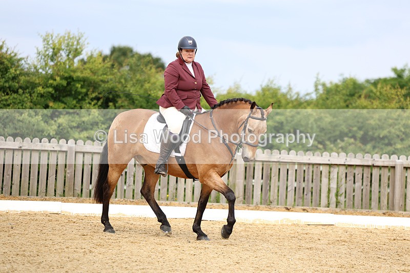 3E7A9123 - Class 2: Intro 1 2024 Section B