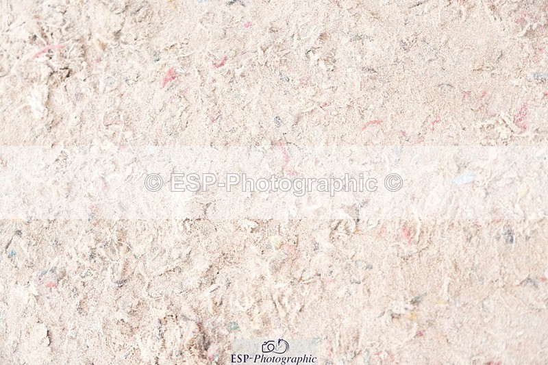 250720-151808-20883 - Cls 32, 1 Star 6yr old Final