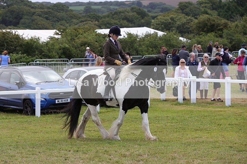 1X9A4515 - Class 34: Veteran Ridden