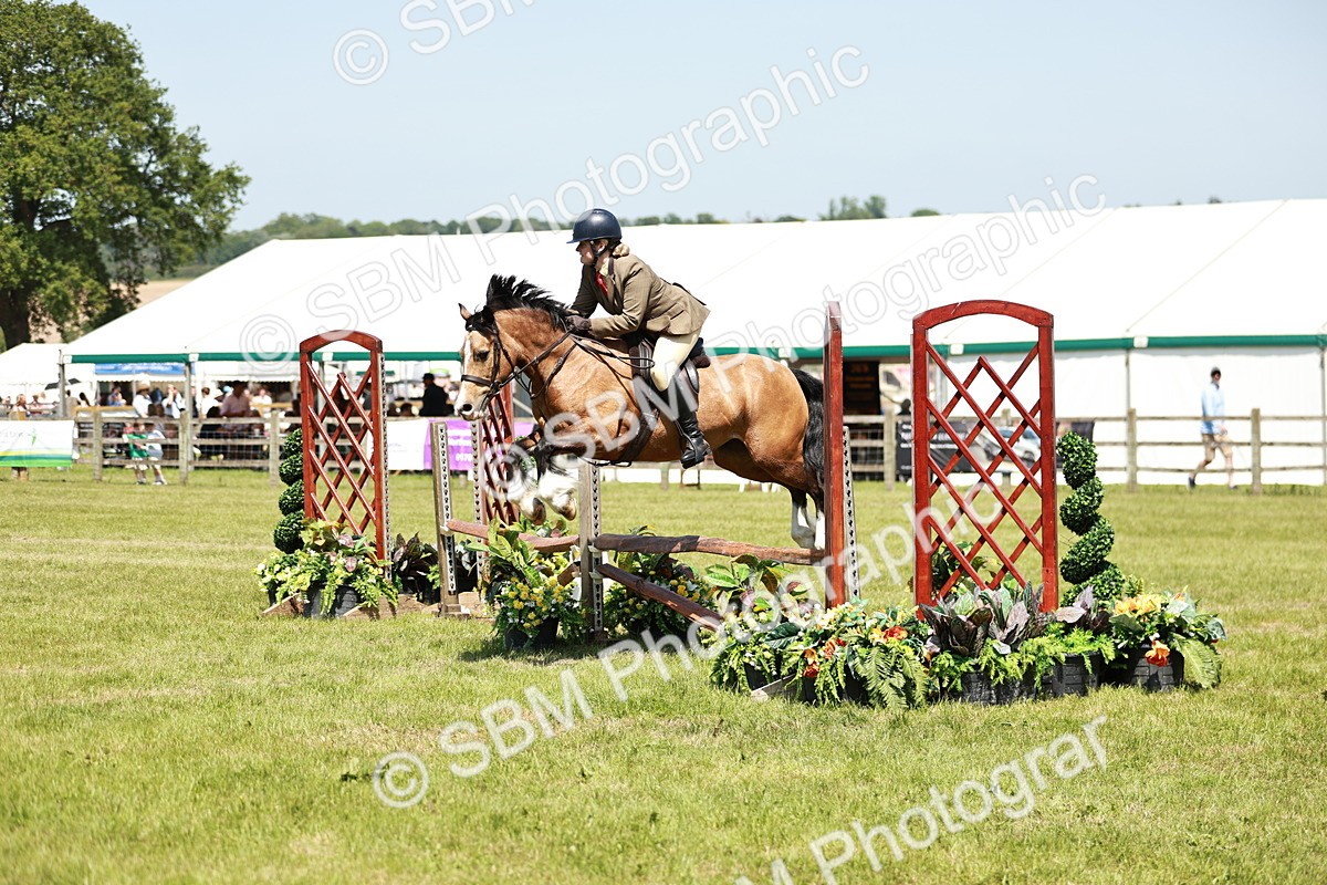 SBM_16346 - Class 110-111 - Training Stakes (70cms 80cms)