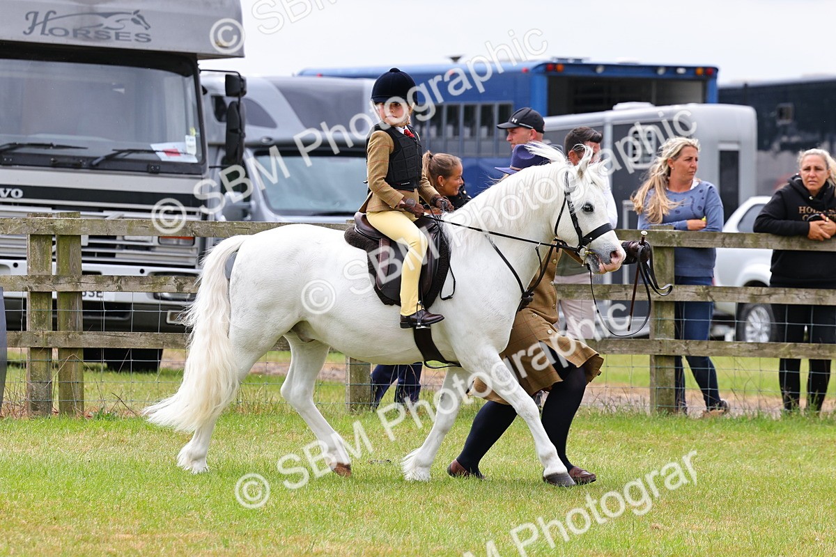 SBM_08189 - Class 42-43 - LIHS BSPS Heritage Working Sports Pony