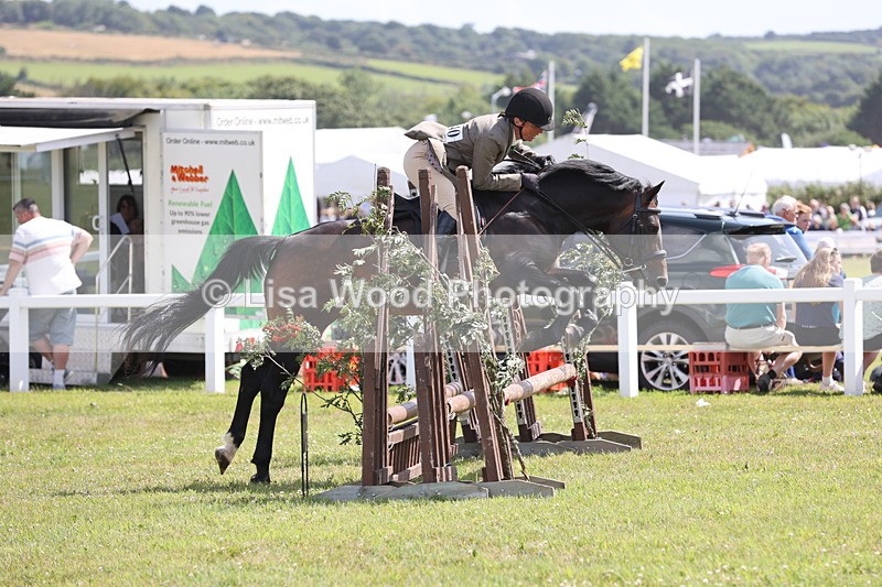 JPP_2186 - Class 19: Working Hunter 60cm