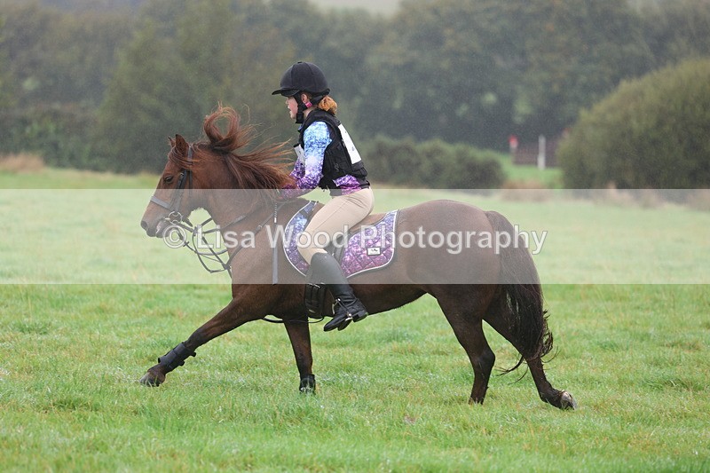 3E7A0777 - Class 1: 65cm: Rails