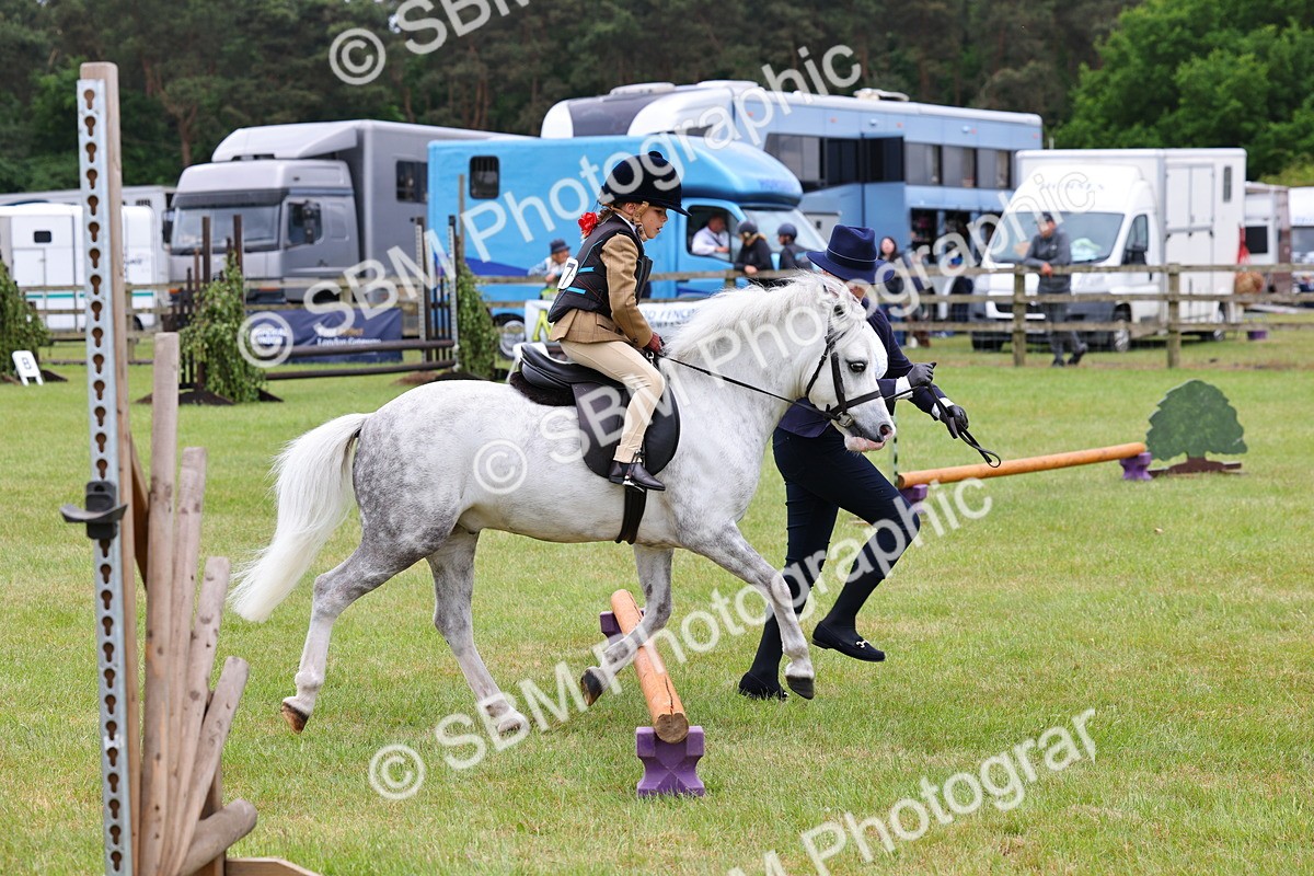 SBM_08136 - Class 42-43 - LIHS BSPS Heritage Working Sports Pony