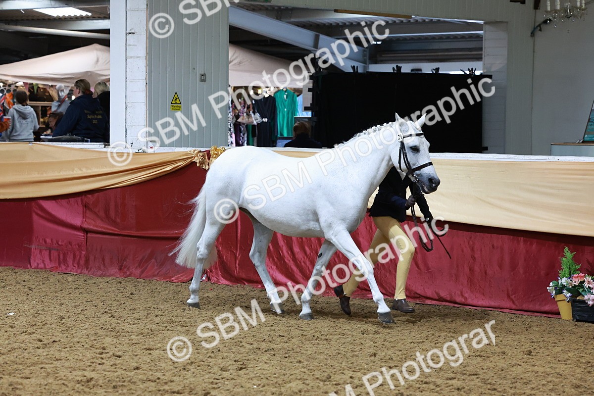 SBM_19927 - Class A - Junior Champ 10yr and Under