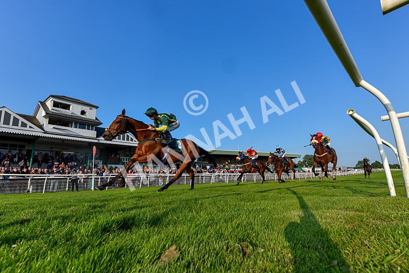 310524-Race 3-Lord Torranaga-7549