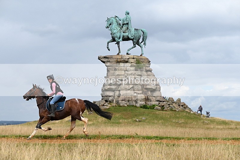 DSC_7952 - Time at Statue 13:16 to 13:52