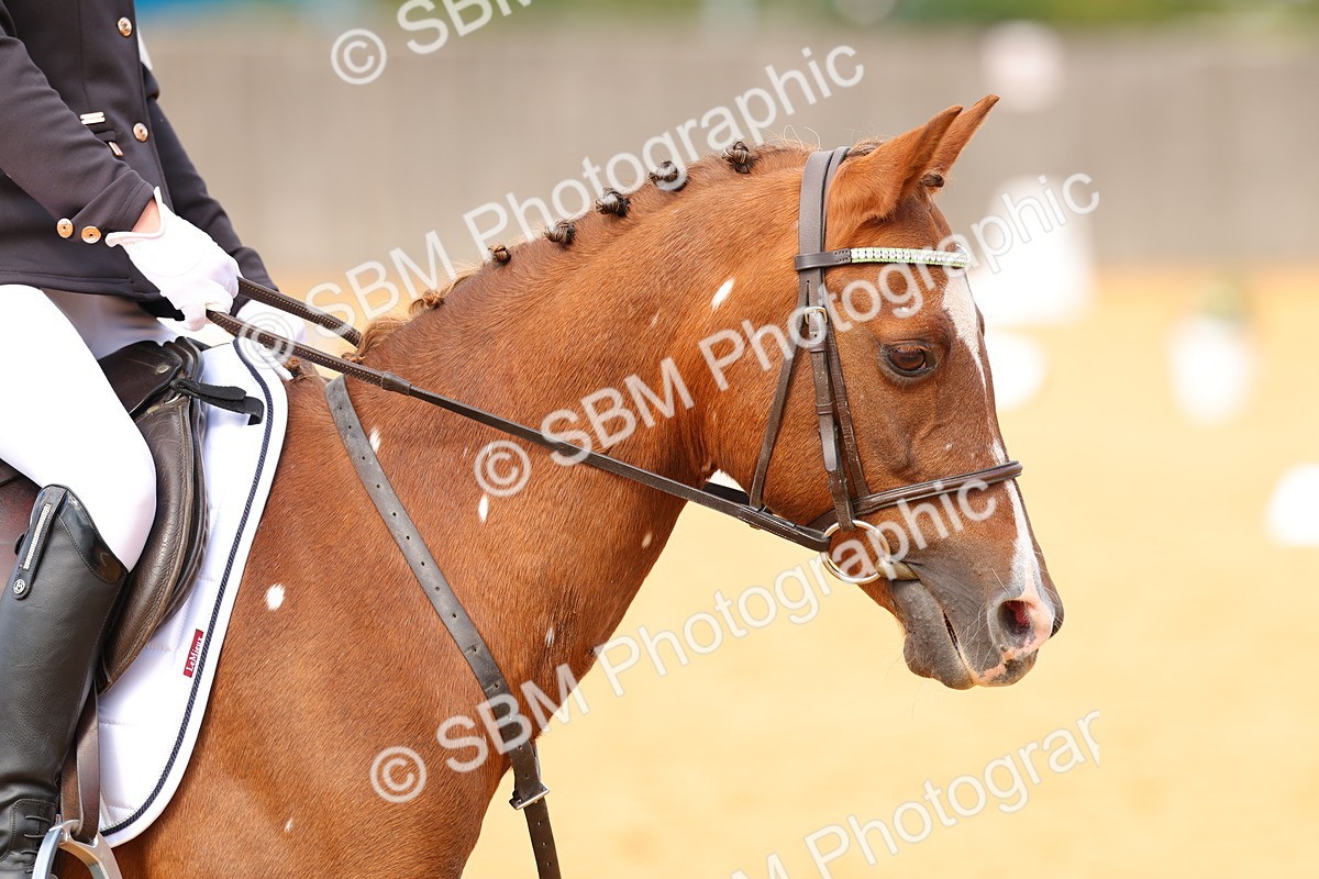 SBM_44034 - D22 - Junior Championship - Intro B