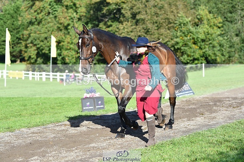 231022-110020-23658 - 404-ATLANTIC.COAST-Nicky.Ralph-TrotUp+SJ