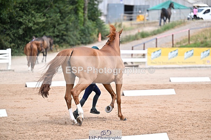 250716-130822-00354 - Trot Up 12.30 to 1.30