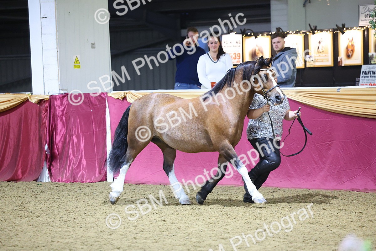 0B8A4405 - Class N M&M Champ