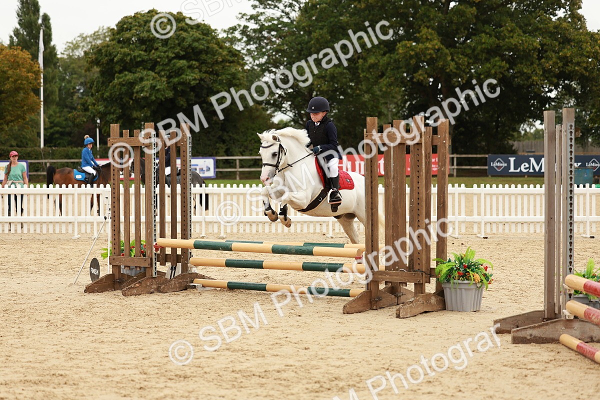 SBM_61801 - J12 - Junior Pony 55cm Championship