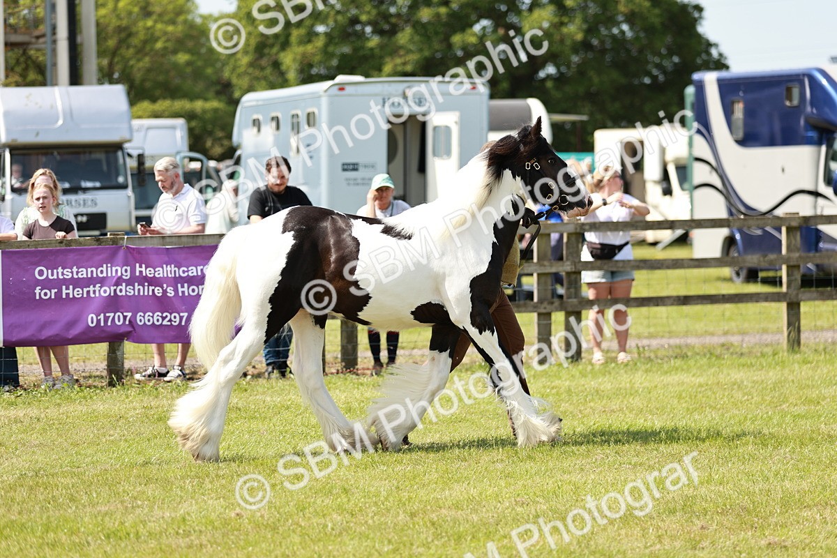 SBM_04160 - Class 39-40 - BSPA Coloured In Hand