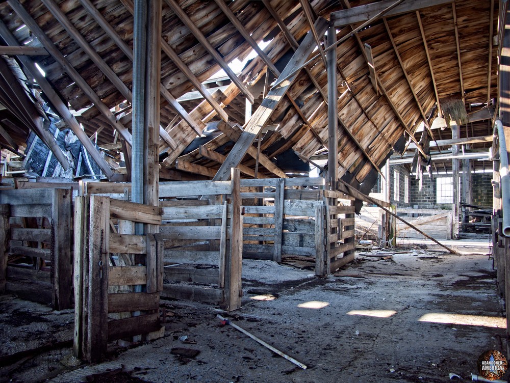 The Lancaster Stockyards | Splayed Roof - Lancaster Stockyard