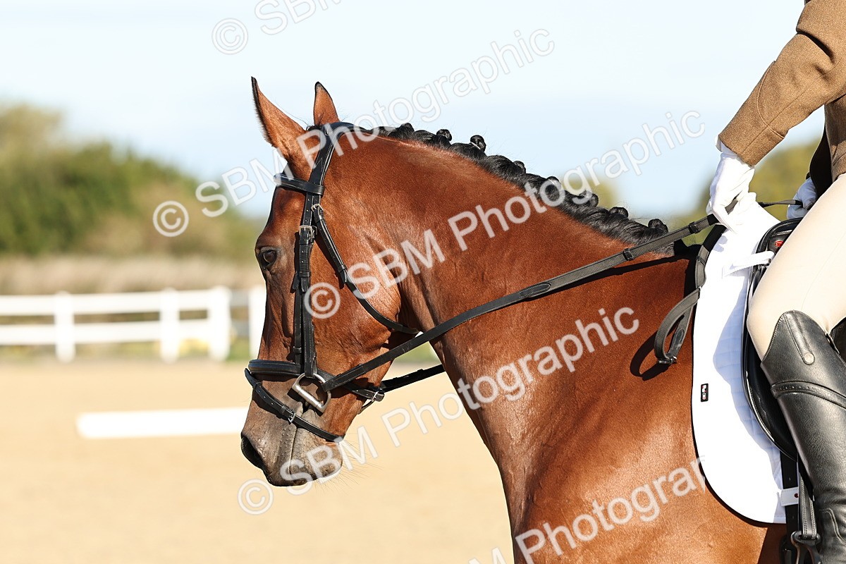 SBM_003150 - Class 66 - Intro 3