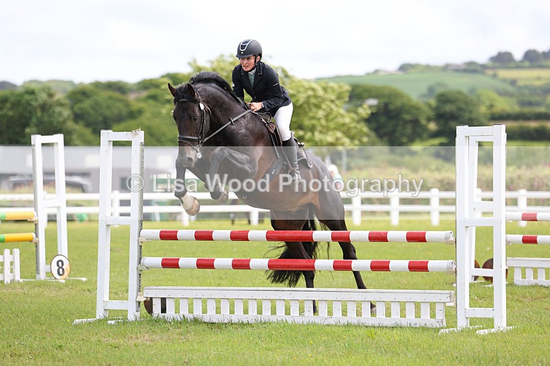 3E7A7457 - Class 13: Senior British Novice/90cm open