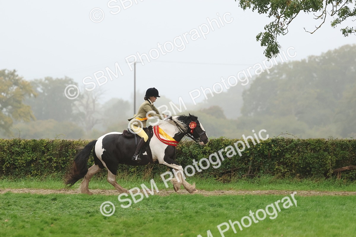 SBM_73227 - Super Supreme Championship(Sun)