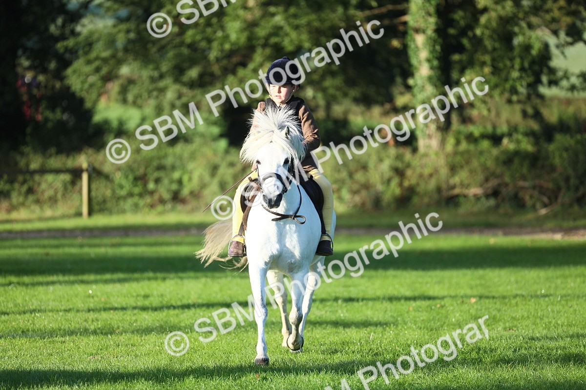 SBM_31800 - S28 - Nursery Stakes Working Hunter Pony