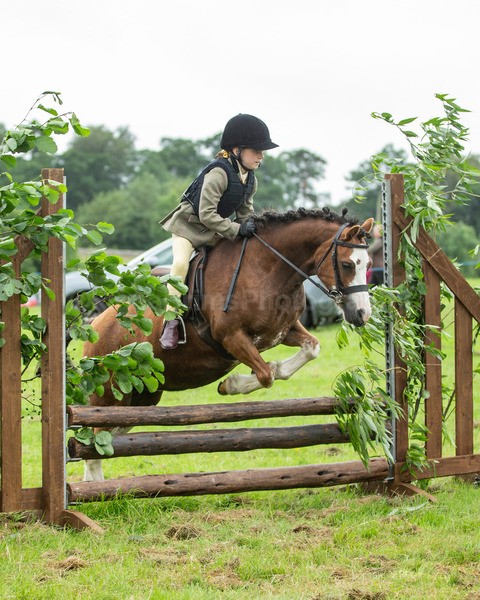 Dunblane show-231 - Dunblane and Doune Show Ring 1