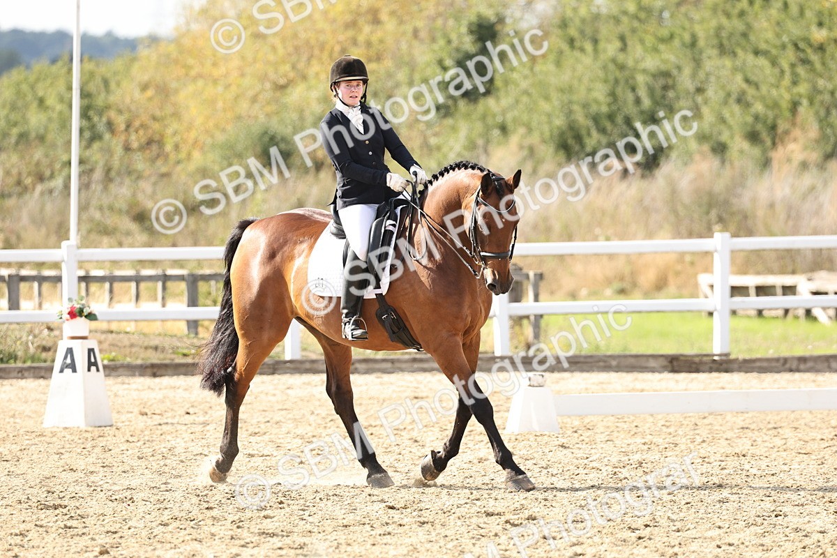 SBM_015426 - Class 9 - Advanced medium 3