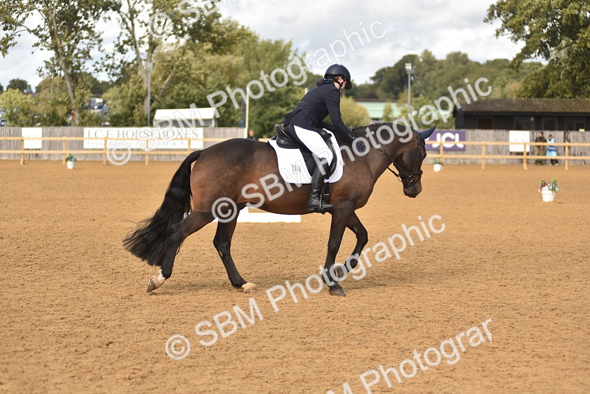 SBM_48794 - D22 - Junior Championship Intro 3