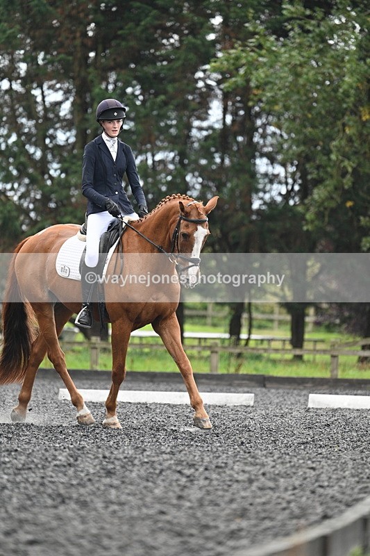 WJ7_6732 - Time 14:49 to 15:14