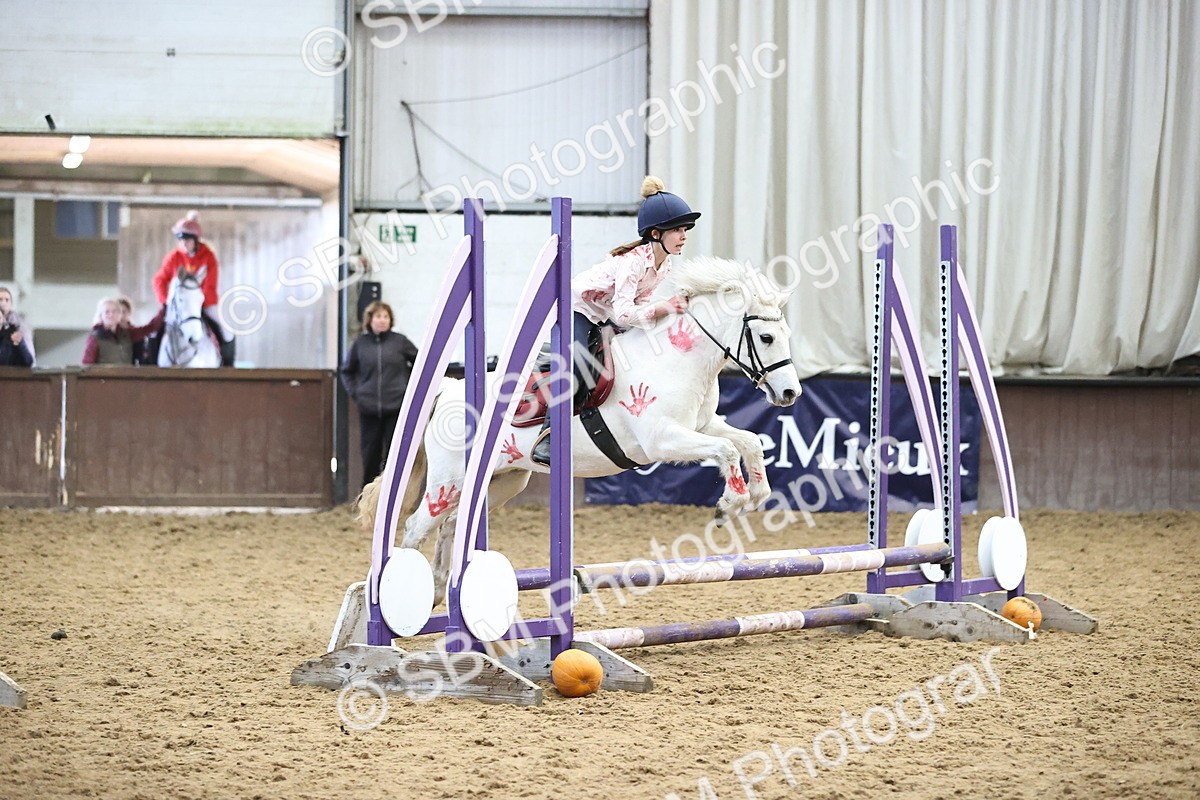 SBM_001428 - Class 3 - Horse & Hound 60cm