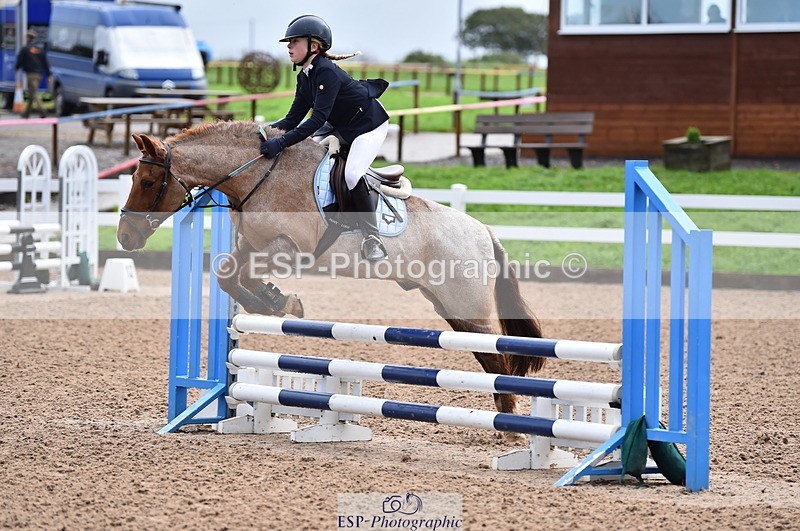 231029A-103154-02317 - 70cm Pony Intro