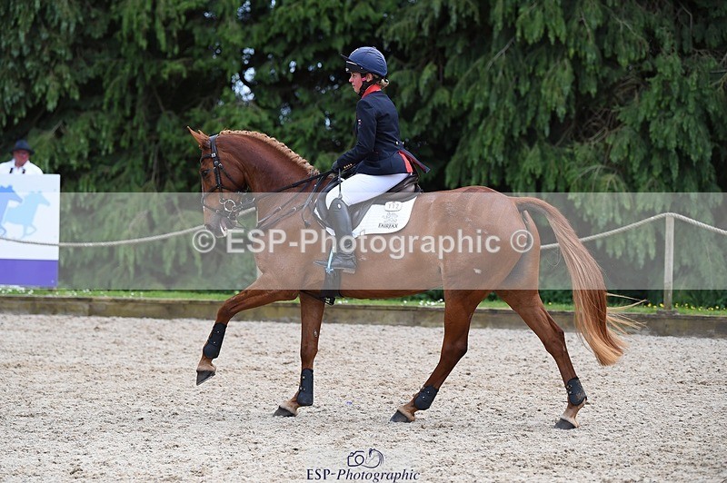 230528-151230-18920 - 112-BILLY_MAPLE-Kitty_King-SUNTrotUp+SJ