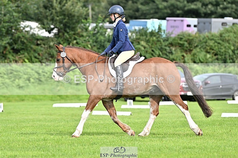 230826-100415-16350 - Sections A & B 10 to End