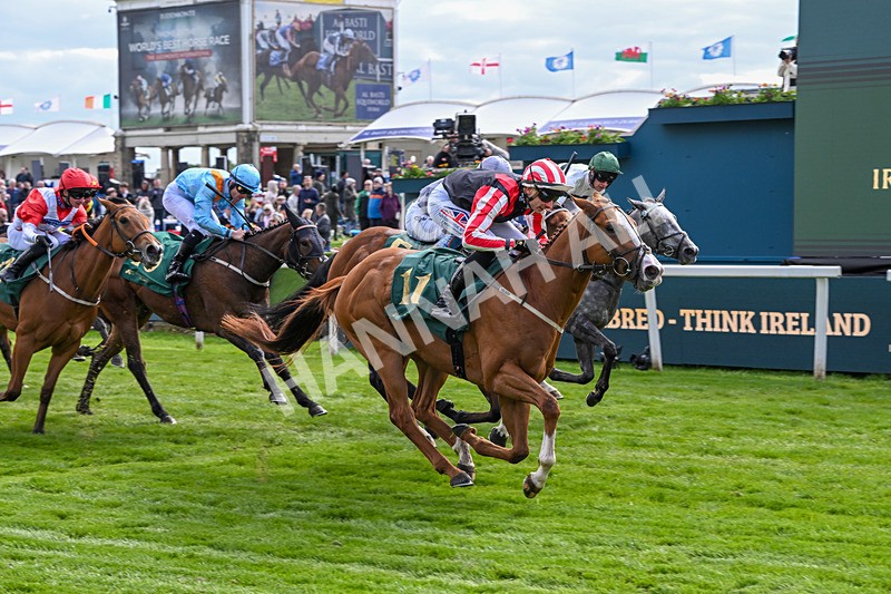 150526-Race 6-Fortification-8420 - Race 6 4.40pm Irish Thoroughbred Marketing Handicap