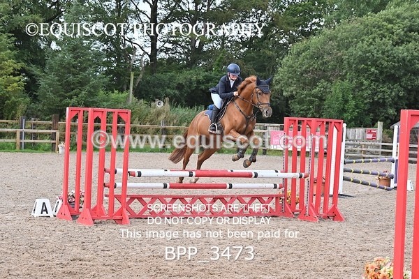 BPP_3473 - CLASS 36 SUN Senior British Novice/ 90cm Open
