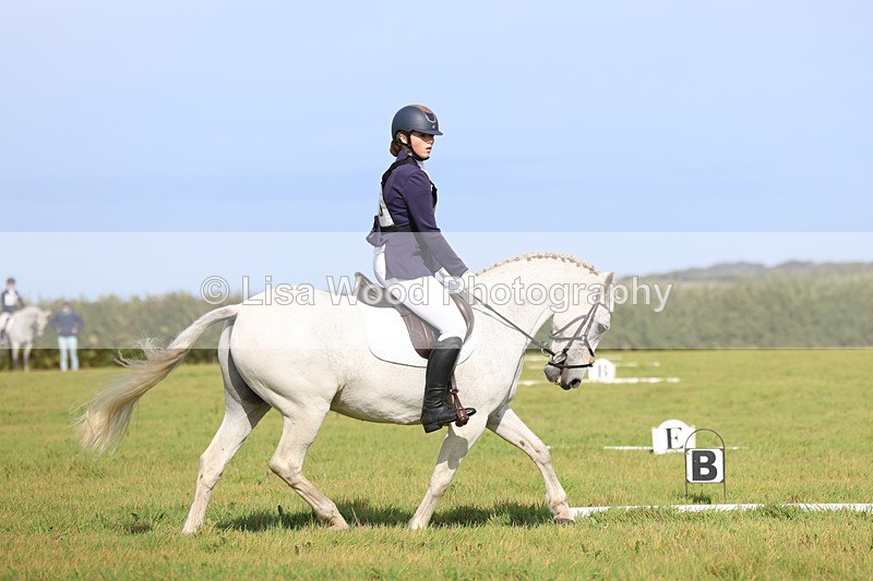 3E7A6256 - Class 1: Trebudannon Open: Dressage (Part 2)