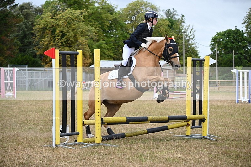WJ6_9913 - Class 13 Novice Jumping 60cm