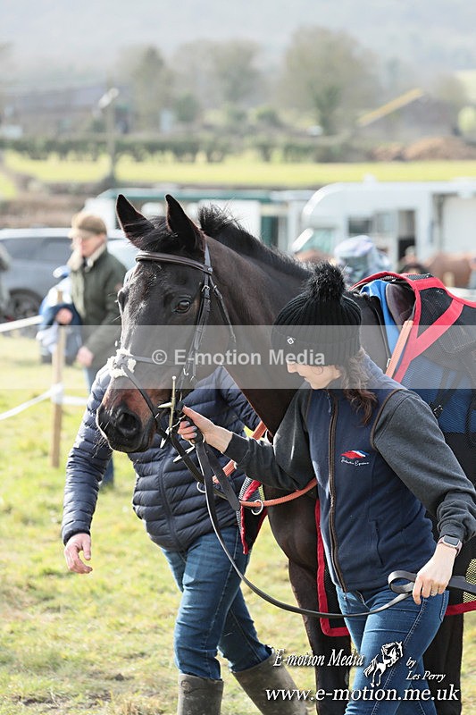 PtP 220225 395 - Kimblewick Point-to-Point  Kingston Blount 22/02/25