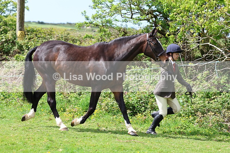 3E7A0470 - Class 20: Sports Horse