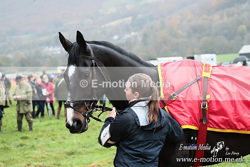 PtP 091125  0040 - Point-to-Point Wales Area Club Lower Machen, Gwent 09/11/25