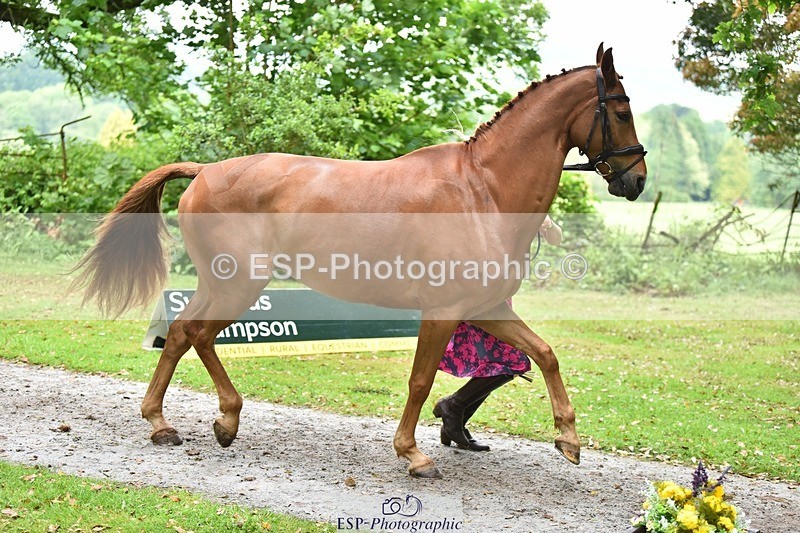 240522-170712-01400 - 236-RUBIN_MOON_SB-Gemma_Watts