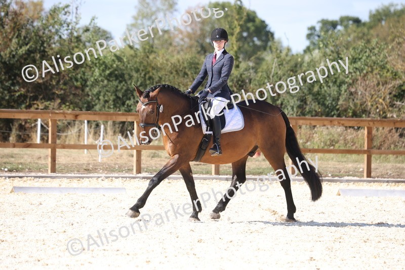 20260905-1594 - Class 5 - Novice 2