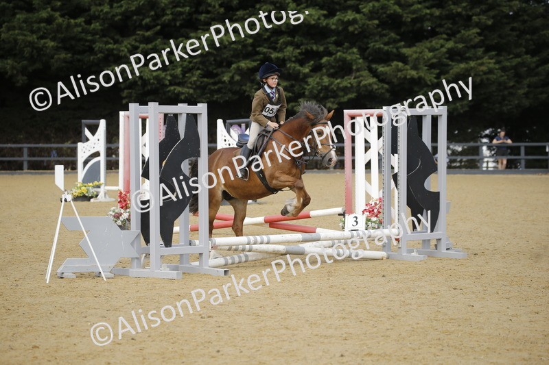 20250622-1593 - 40cm