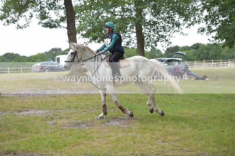 NGP_8411 - Time 12:08 to 12:15