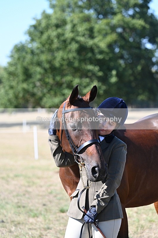 WJ7_1921 - Class 43 Best Six Legs (In hand)