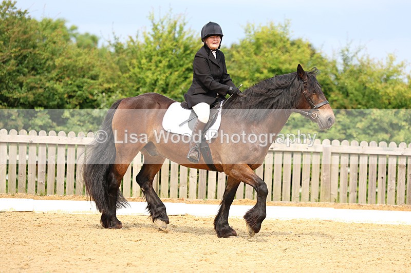 3E7A9073 - Class 2: Intro 1 2024 Section B